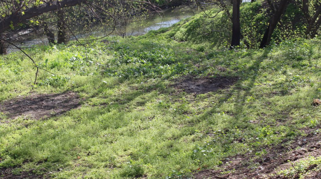  Peste 700 de angajaţi ai întreprinderii au participat la acţiunea de salubrizare a râului Bâc
