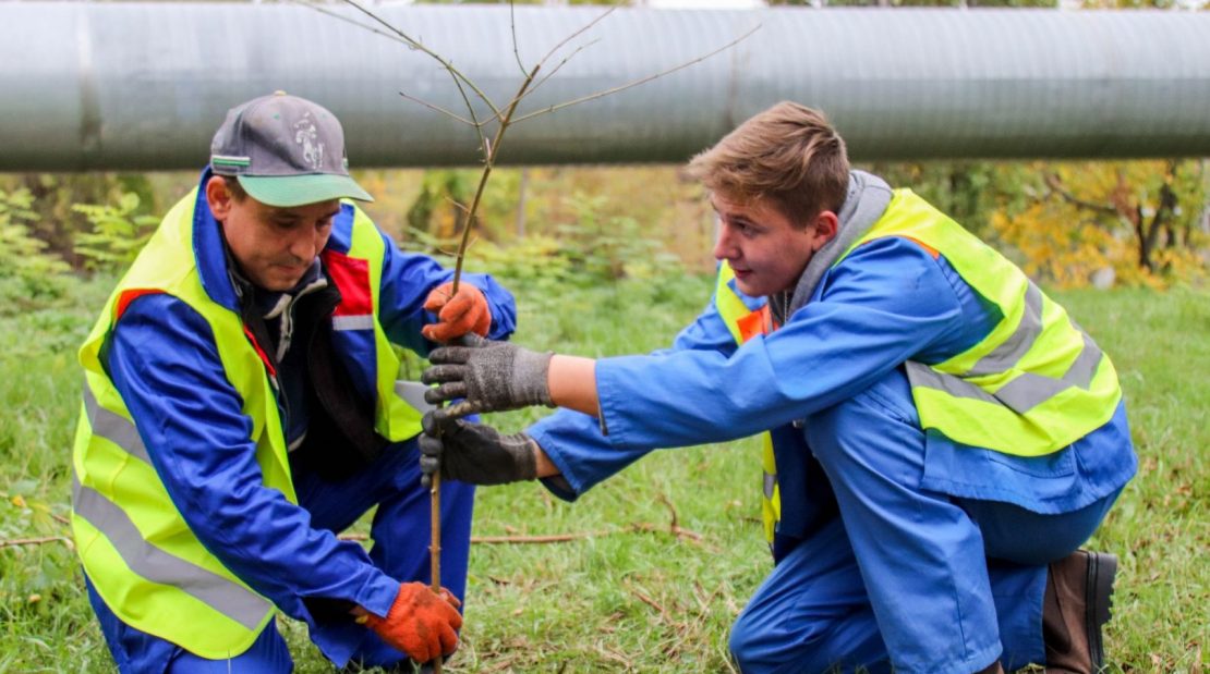  Angajații Termoelectrica, implicați activ în acțiunile dedicate înverzirii plaiului
