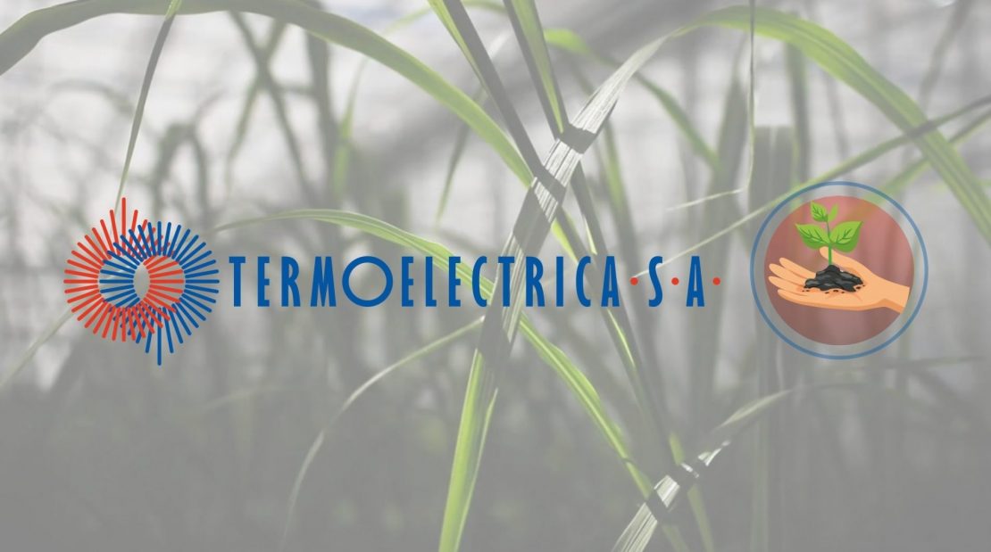  Termoelectrica își diversifică sursele de energie utilizate, prin producerea energiei termice din biomasă